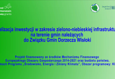 Realizacja inwestycji w zakresie zielono-niebieskiej infrastruktury na terenie gmin należących do Związku Gmin Dorzecza Wisłoki